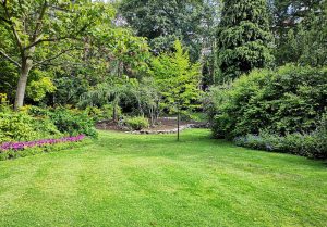 Optimiser l'expérience du jardin à Saint-Hilaire-la-Plaine